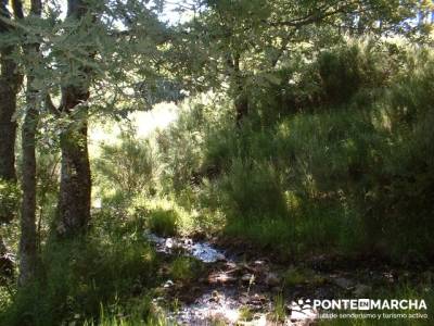 Ruta Lago de Sanabria - Laguna de Sotillo; viajes enero